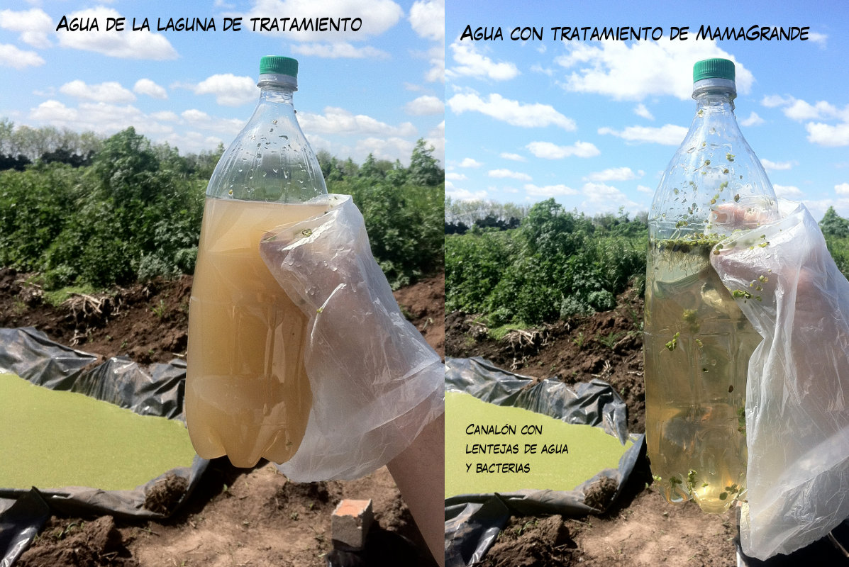 credits: http://mamagrande.org/