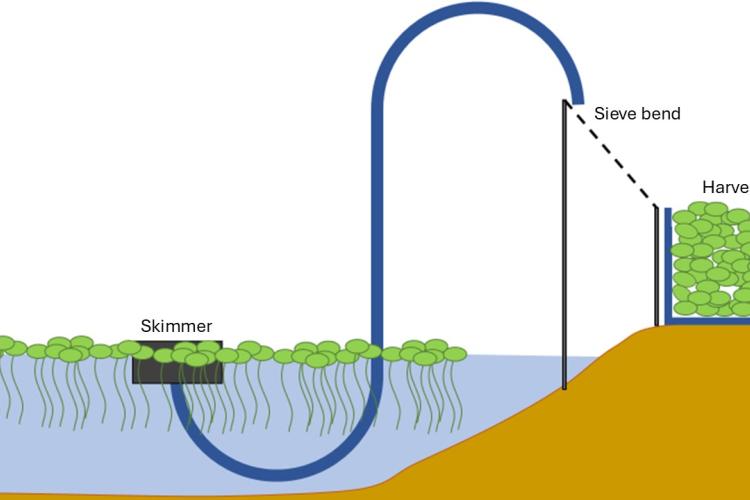 Visualisation of the harvester using a pump